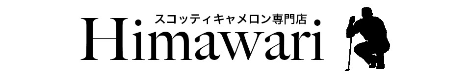 ツアーパター&独創的なカスタムパター
【スコッティキャメロン専門店 Himawari】