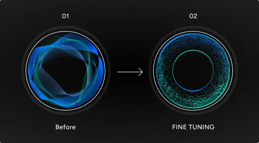 FINE TUNING®（ファインチューニング）のメカニズム,ファインチューニングされた情報